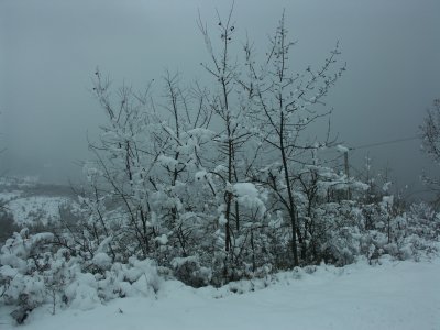 PICT0008.JPG