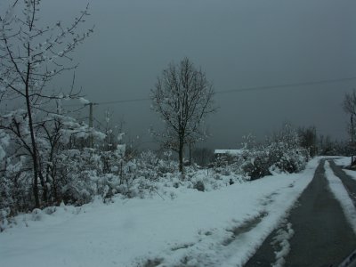 PICT0009.JPG