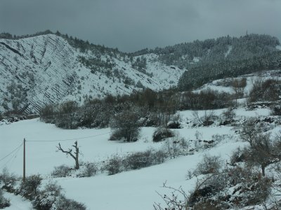 PICT0011.JPG