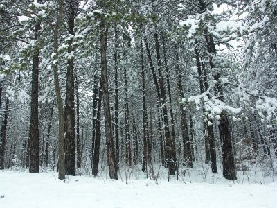 PICT0014.JPG