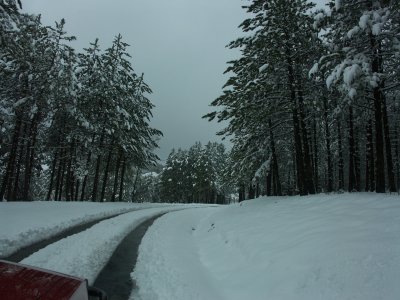 PICT0015.JPG