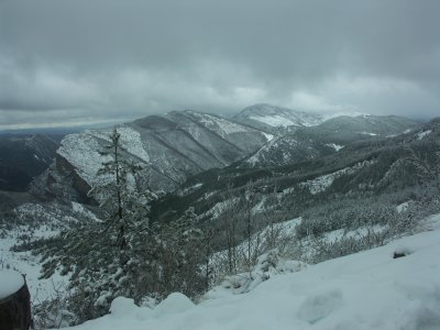 reco