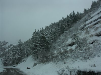 PICT0019.JPG