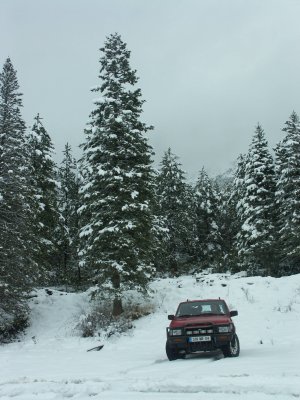 PICT0022.JPG