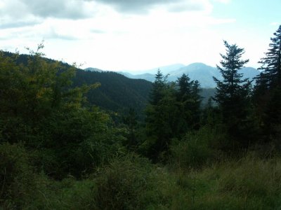 PICT0023.JPG