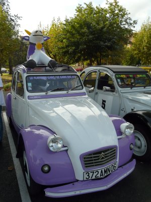 P1020301.JPG