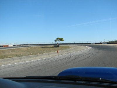 IMG_2761.JPG