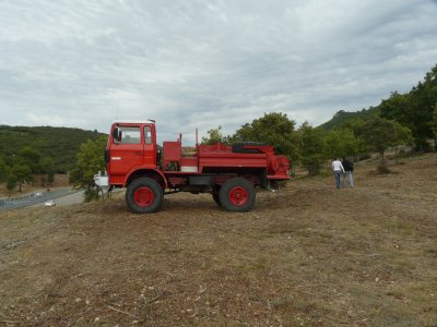 P1010787.jpg