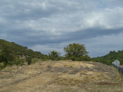 P1010845.jpg