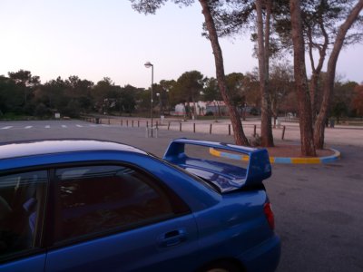 P1050617.JPG