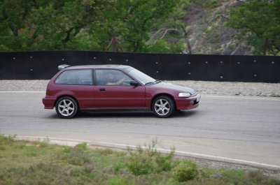 IMGP3457.JPG
