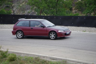 IMGP3458.JPG