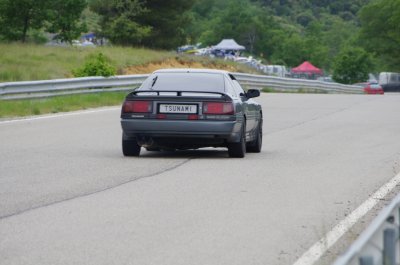 IMGP3970.JPG