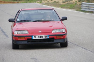 IMGP4155.JPG