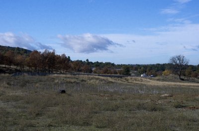 IMGP10183.JPG