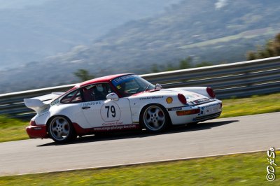 IMG_6931.jpg