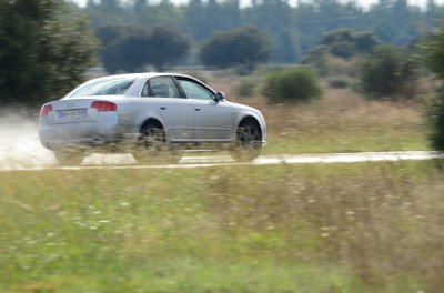 DSC_0391.JPG