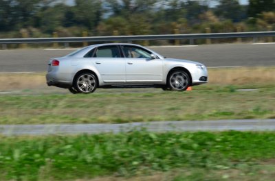 DSC_8769.JPG