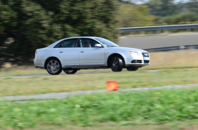 DSC_8771.JPG