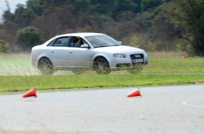 DSC_9531.JPG