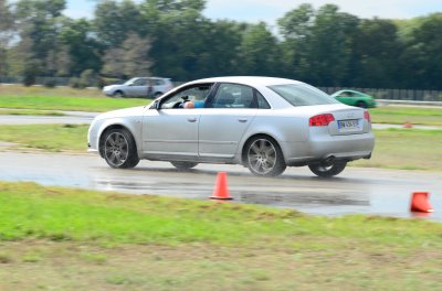 DSC_9548.JPG