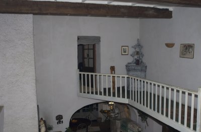 IMGP0398.JPG