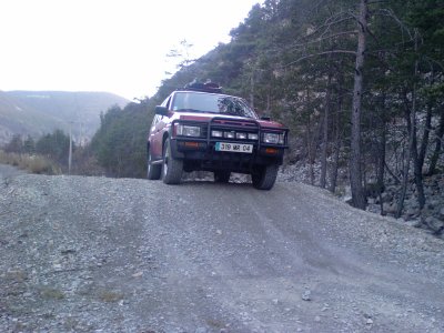 Terrano