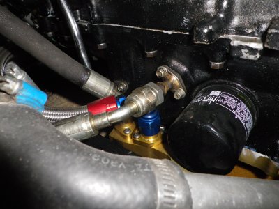 IMGP1245.JPG