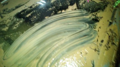 IMG_20151009_125535.jpg