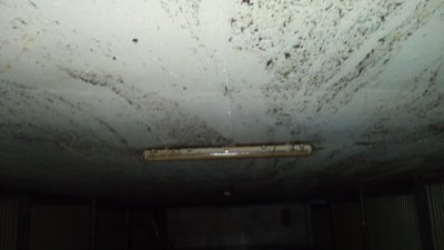 IMG_20151009_130008.jpg