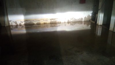 IMAG0006.jpg