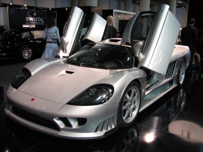 saleen_IMG_1065.JPG
